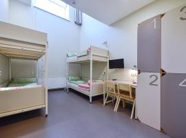 Nykščio Hostel，位于阿尼克什奇艾的青旅