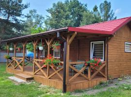 Ośrodek Wypoczynkowy Świerk，位于Niewiesze的酒店