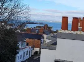 Nelson's View