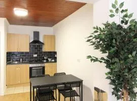 One bedroom City centre apartment - flat 3