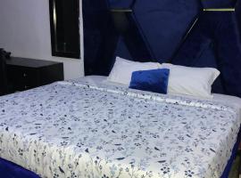 BLUE MOON HOTEL Victoria Island，位于拉各斯的酒店