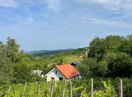 Valerija - Vineyard cottage