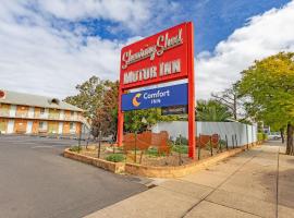 Comfort Inn Shearing Shed，位于达博的酒店