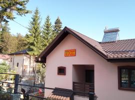 Casa Nicolas Busteni，位于布什泰尼的酒店