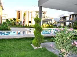 Villa Modern