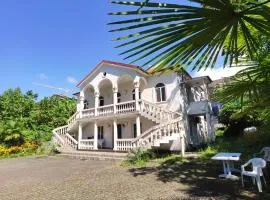 Georginos house