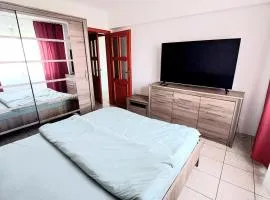 Arad central apartment