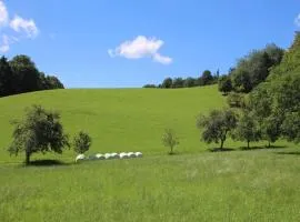 Idyllisches Haus mit Garten und Saunahütte in der Natur