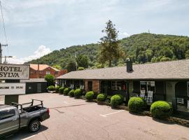 Hotel Sylva，位于西尔瓦的酒店