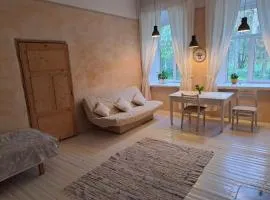 Roosiku Apartment