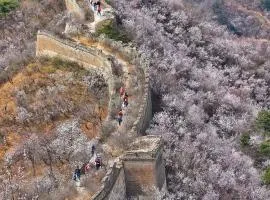 北京吾己民宿-万里长城黄花城-水长城休闲民宿