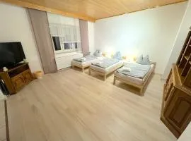 II Apartment Dingolfing Ferienwohnung Kronwieden II