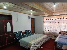 Hotel Tiger Hill View，位于Drās的酒店