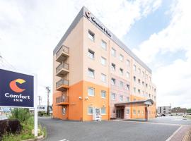 Comfort Inn Toyokawa Inter，位于丰川市的酒店