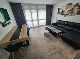 Appartement GGCH 4 chambres