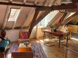 Luxe appartement in het oude centrum