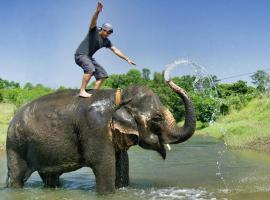 Hotel Royal Safari Chitwan，位于奇旺的酒店