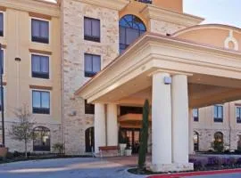 Comfort Inn & Suites Dallas Medical-Market Center，位于达拉斯达拉斯拉夫菲尔德机场 - DAL附近的酒店