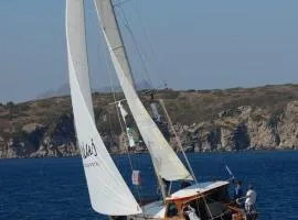 Usta-k