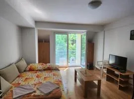 Apartment Joco