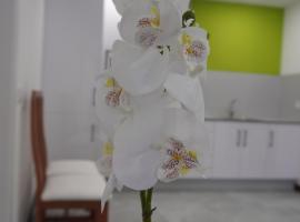 Apartamento Sanin 3，位于Lumbrales的酒店