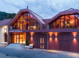 Domaine Carrel & Senger，位于Jongieux的酒店