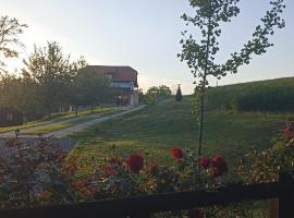 Stari Tršić，位于Tršić的酒店