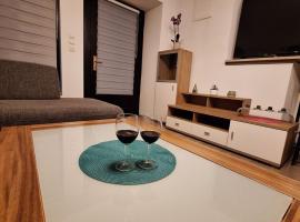 Kranjček Apartment，位于克拉尼的酒店