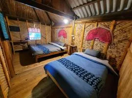 Pine tree hostel