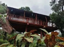 Sigiriya Rock View Tree house