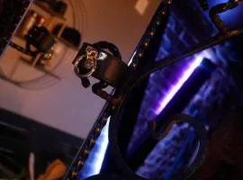 Blacroom de l'Artois