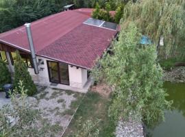 Cabana lui Banică，位于Sîntioana的酒店