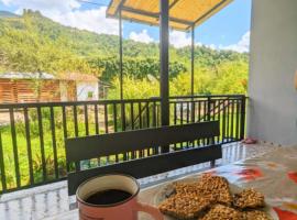 Guesthouse Among the Vines，位于Gagulechi的酒店