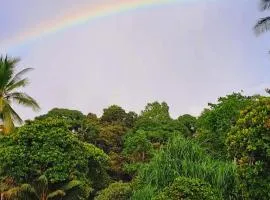 Vista Alta Ecolodge Bahia Drake