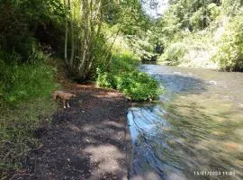 Villarrica Borde Río