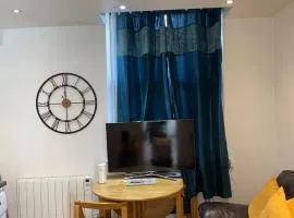 Basic one bed comfy apt