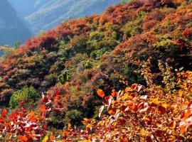 Nost algia S Hotel Near University of Chinese Academy of Social Sciences - Near Peking Man Site at Zhoukoudian,, Shidu Scenic Spots, Free ice cream, mineral water, coffee, snacks and laundry service, Free gymnastic, English communication well，位于北京的酒店