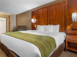Comfort Inn Romeoville - Bolingbrook，位于罗密欧维尔的酒店