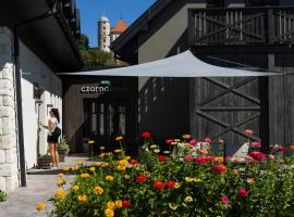 Czarna Dama Apartamenty，位于亚诺维茨的酒店