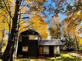 Daben Recinto Ñuble camino Termas de Chillan，位于Recinto的酒店