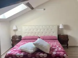 Il lupo e il filosofo b&b