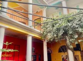 Colors House