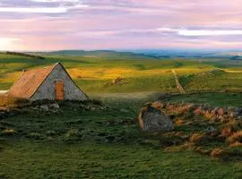 Fraîcheur , forêt d'Aubrac , au coeur de la nature