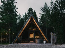Pinery Blidinje A-Frame House，位于Blidinje的酒店