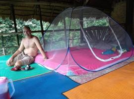 Jungle View Homestay & Guesthouse，位于武吉拉旺的酒店