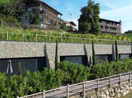 Pitzoler Hof，位于Albes的酒店