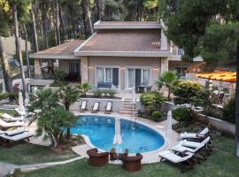 Villa Agapi Sani，位于撒尼海滩的酒店