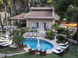 Villa Agapi Sani