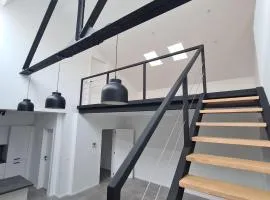 Loft atypique !
