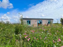 Schäferwagen Tiny House auf dem Friesenhof，位于佩尔沃姆的露营地